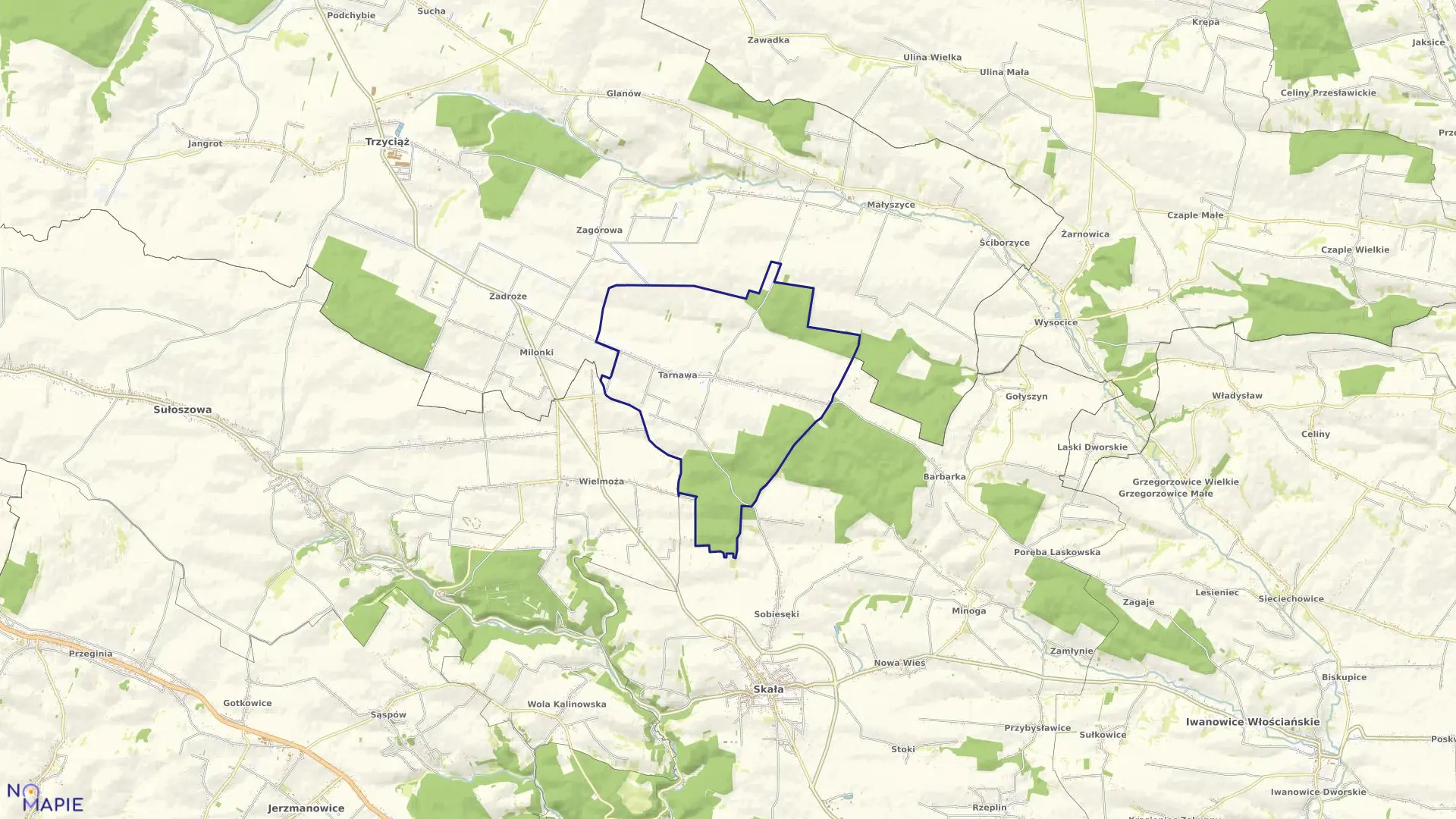 Mapa obrębu Tarnawa w gminie Trzyciąż